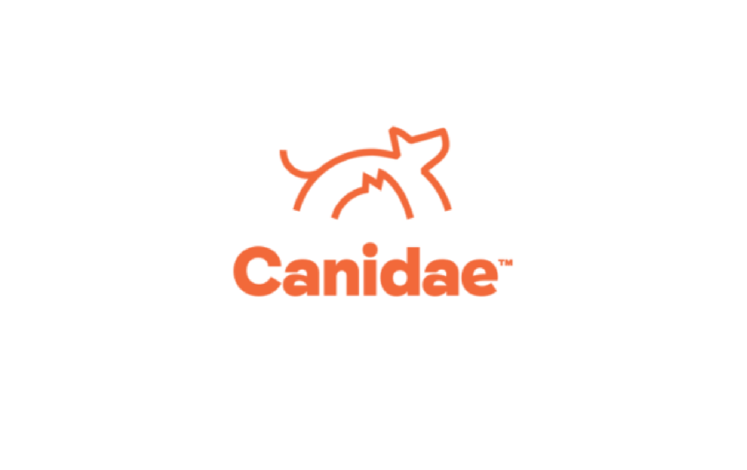 宠物-卡比_画板 1.png