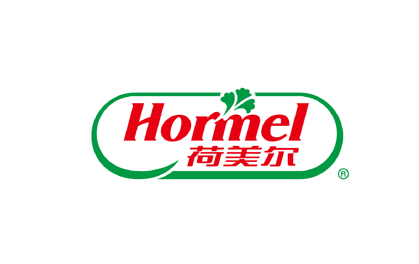 调味品-荷美尔_画板 1.png