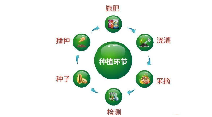 2020-07-15_100510.jpg 2020-07-15_100510.jpg