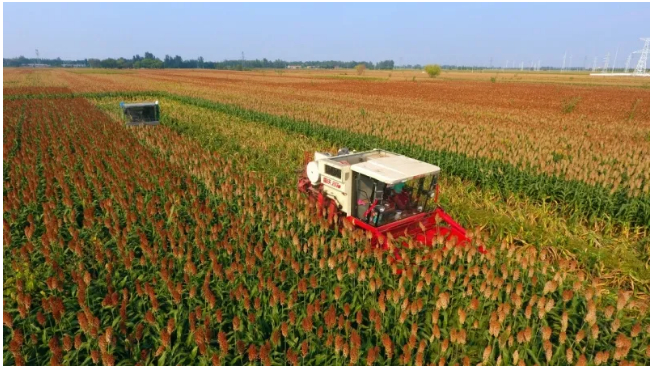 2021-06-21_152150.jpg 2021-06-21_152150.jpg