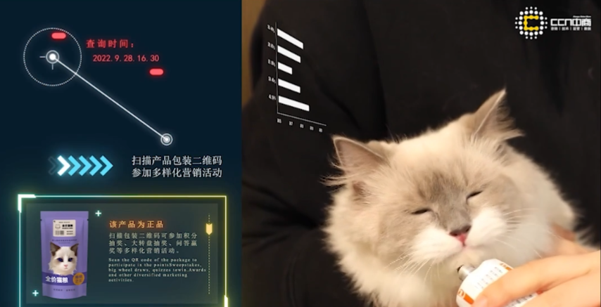 宠物4.png 宠物4.png